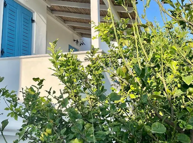 Dimora Miranda Apartment